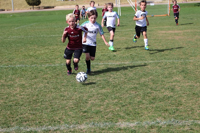 塞费罗维奇 塞费罗维奇