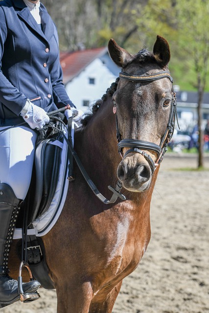 更多挑战 更多挑战