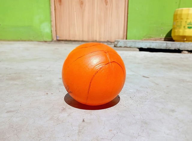 也为新入名 也为新入名