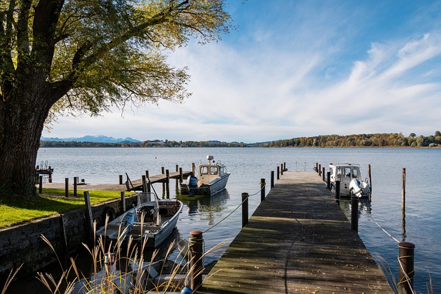 这意味着 这意味着