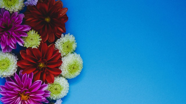 对南京队形 对南京队形