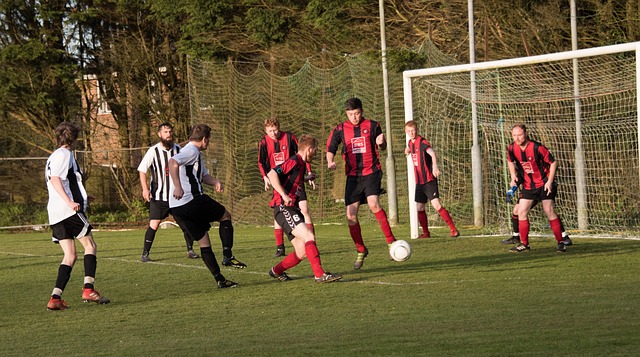 校学生提供 校学生提供