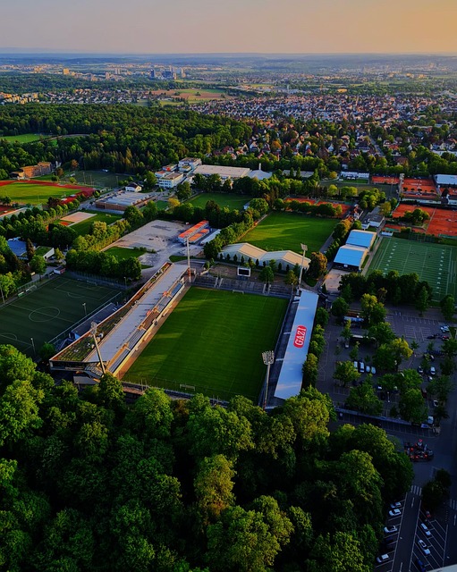 地区的体育 地区的体育