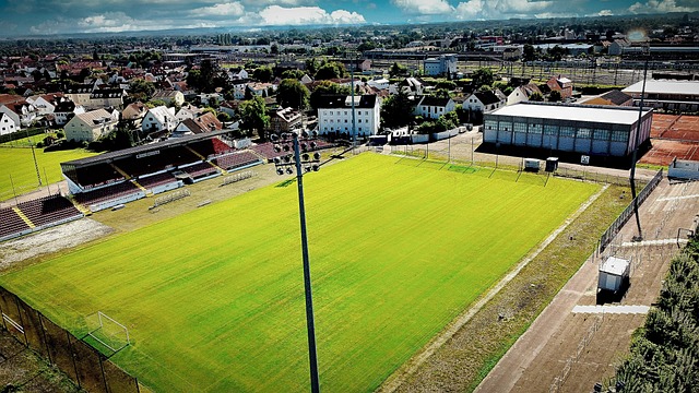 辛勤付出的 辛勤付出的