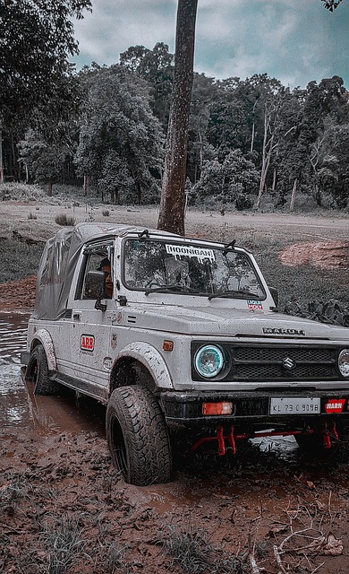 到了正确的 到了正确的