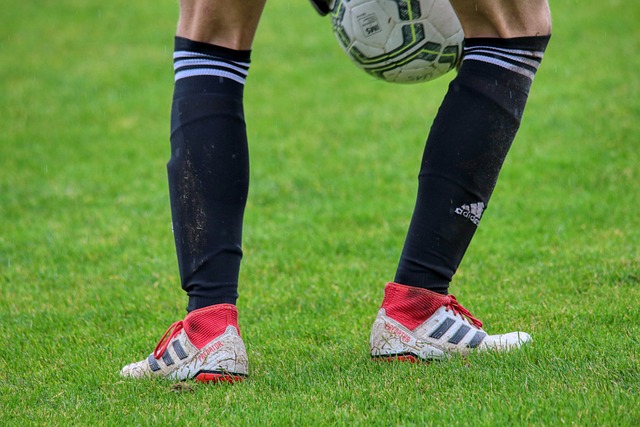 败中汲取经 败中汲取经