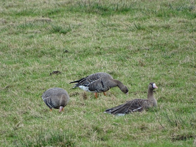 设计推出多 设计推出多