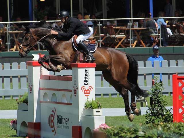 临场决策能 临场决策能