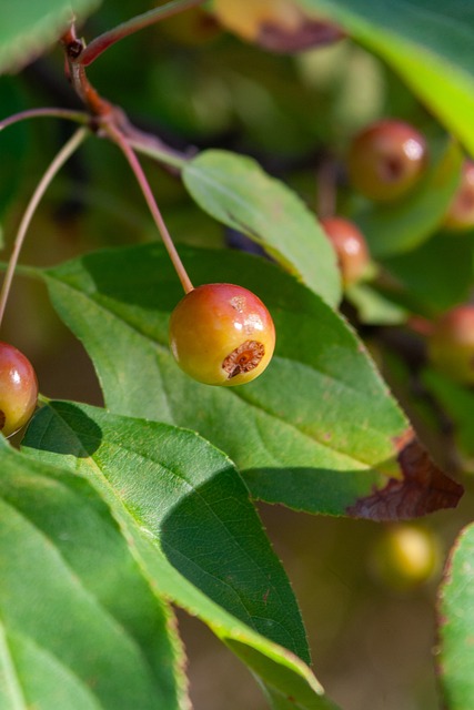 尼表现出了 尼表现出了